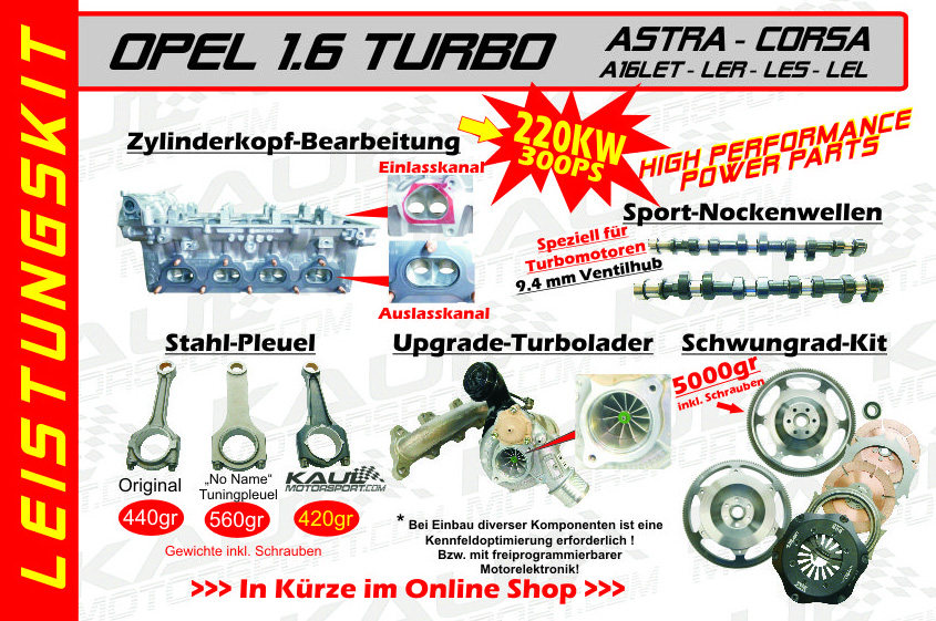 Gribok auf der Nägel zu siegen