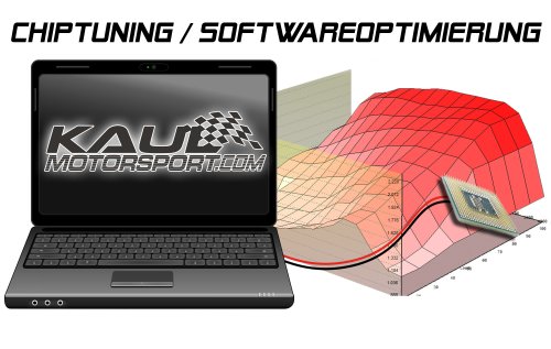 Chiptuning - Softwareoptimierung - Leistungssteigerung