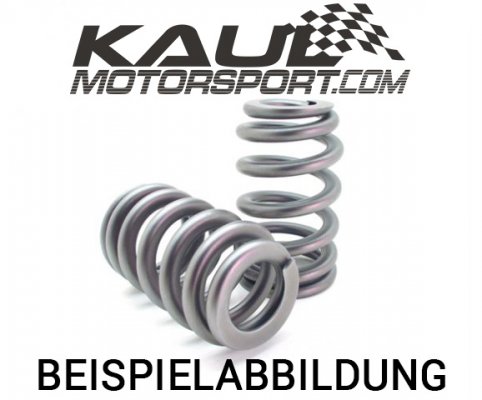 Ventilfeder Einzelfeder Ø 34,2 mm (Länge entspannt 49,5 mm / auf Block 22 mm) - Kopie