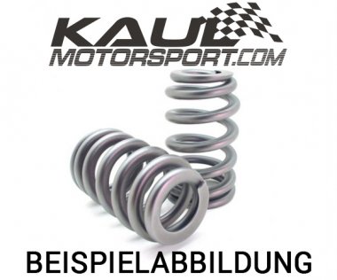 Ventilfeder Einzelfeder Ø 34,2 mm (Länge entspannt 49,5 mm / auf Block 22 mm) - Kopie